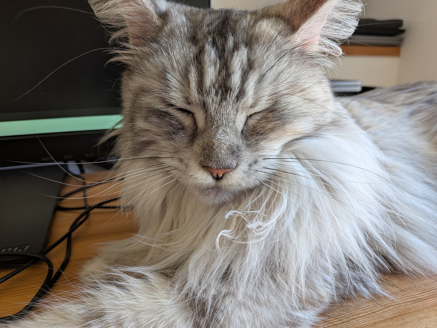 cleo
